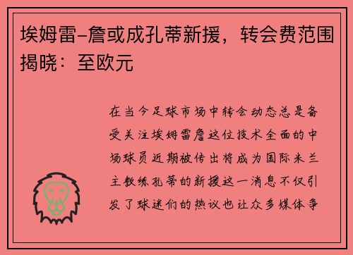 埃姆雷-詹或成孔蒂新援，转会费范围揭晓：至欧元