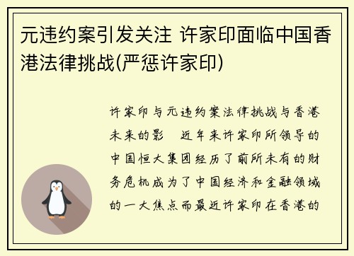 元违约案引发关注 许家印面临中国香港法律挑战(严惩许家印)