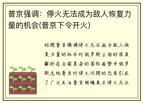 普京强调:停火无法成为敌人恢复力量的机会(普京下令开火)